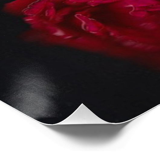 Bloem feeën 2 perfect poster (Hoek)