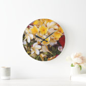 Bloem, flora, Frangipani Grote Klok (Huis)