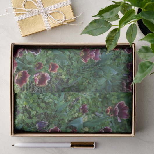 Bloem Fotie Tissue Papier (Geschenk)