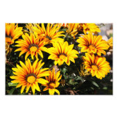 Bloem Foto Afdruk (Voorkant)