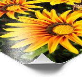 Bloem Foto Afdruk (Hoek)