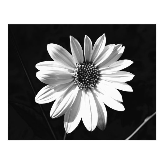 bloem foto afdruk (Voorkant)