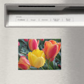 Bloem Foto Magneet (Insitu (Vaatwasser))