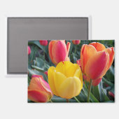 Bloem Foto Magneet (Voorkant / Achterkant)