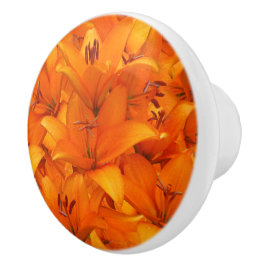 Bloem Foto Oranje tuinlilies Keramische Knop