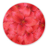 Bloem Foto Rode Garden Lilies Keramische Knop (Voorkant)