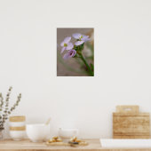 Bloem Fotografische Prints (Keuken)