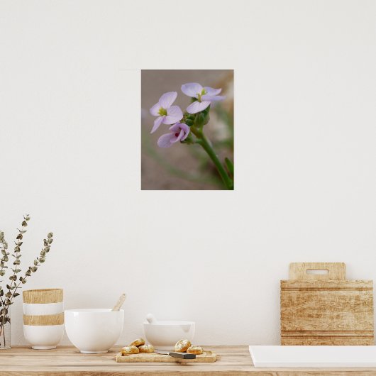 Bloem Fotografische Prints (Keuken)