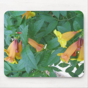 Bloem foto's muismat