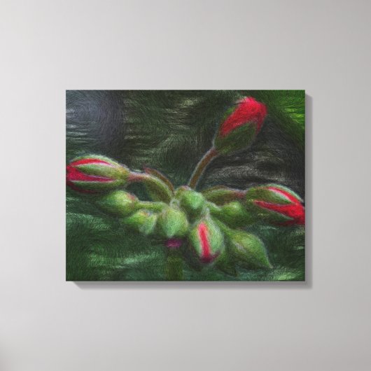 Bloem Geranium knoppen Canvas Afdruk (Voorkant)