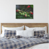 Bloem Geranium knoppen Canvas Afdruk (Insitu (Slaapkamer))