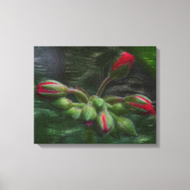 Bloem Geranium knoppen Canvas Afdruk
