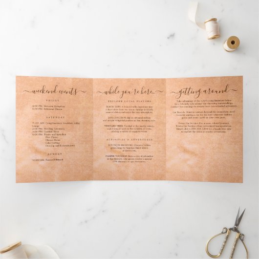 Bloem Gerbera op Abstracte perzik bruiloft Drieluik Programma (Binnen)