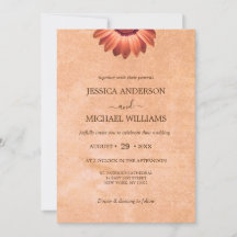 Bloem Gerbera op Abstracte perzik bruiloft