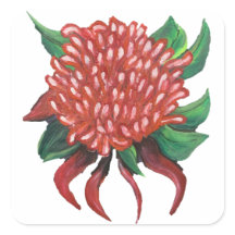 Bloem Hand getrokken Waratah Stickers