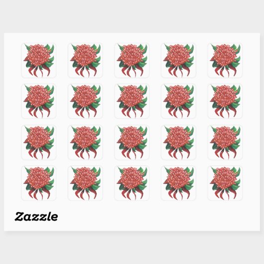 Bloem Hand getrokken Waratah Stickers (Vel)