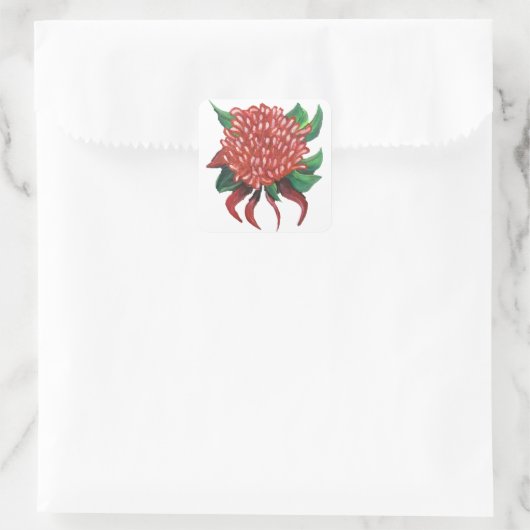 Bloem Hand getrokken Waratah Stickers (Tas)