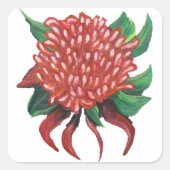 Bloem Hand getrokken Waratah Stickers (Voorkant)
