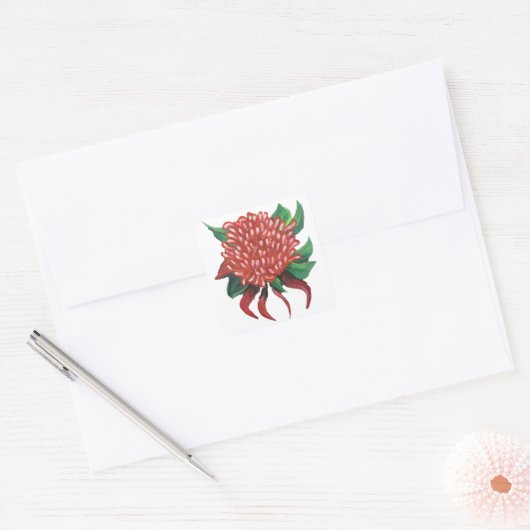 Bloem Hand getrokken Waratah Stickers (Envelop)