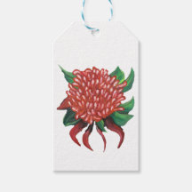 Bloem Hand getrokken Waratah Stickers