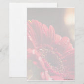 Bloem I Stationery Briefpapier (Voorkant / Achterkant)
