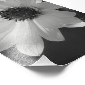Bloem in B/W Foto Afdruk (Hoek)