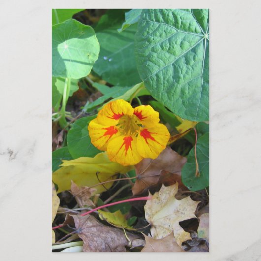 Bloem in Bladeren Briefpapier (Voorkant)