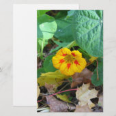 Bloem in Bladeren Briefpapier (Voorkant / Achterkant)