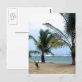 Bloem in de Dominicaanse Republiek Briefkaart (Voorkant / Achterkant)
