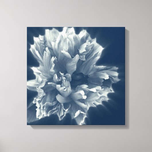 bloem in de nacht canvas afdruk (Voorkant)