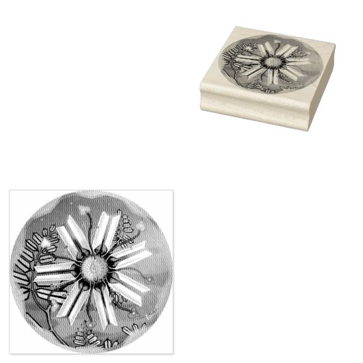 bloem in de woestijn rubberstempel (Gestempeld)