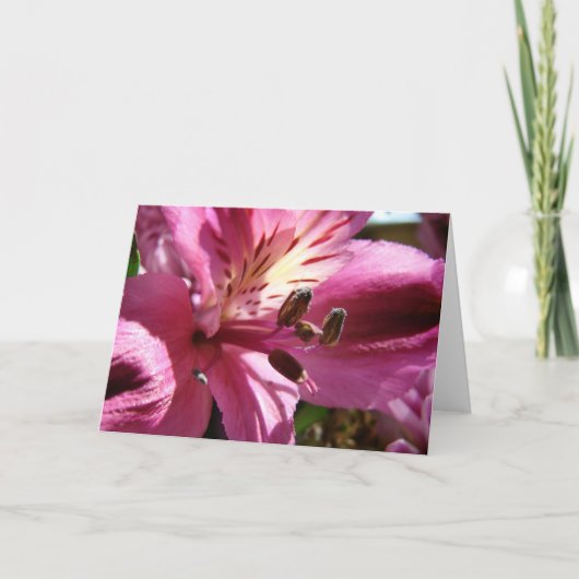 Bloem in een Bouquet Kaart (Voorkant)