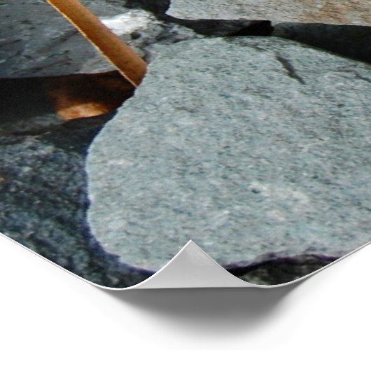 "Bloem in het ruwe poster" Poster (Hoek)