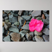 "Bloem in het ruwe poster" Poster (Voorkant)