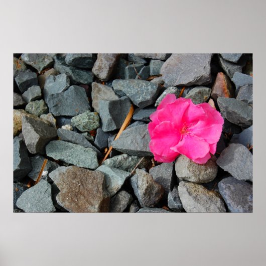 "Bloem in het ruwe poster" Poster (Voorkant)