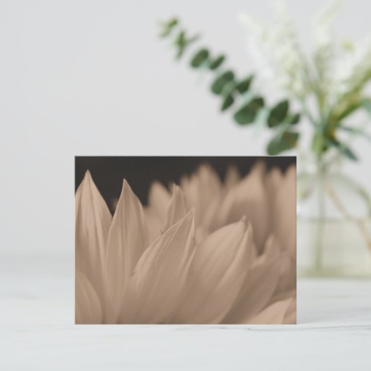 Bloem in sepia briefkaart (Staand voorkant)