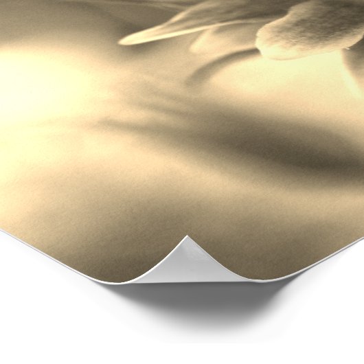 Bloem in sepia-tint poster (Hoek)