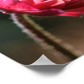 Bloem in Sun Inner Peace Quote Inspirerend Poster (Hoek)