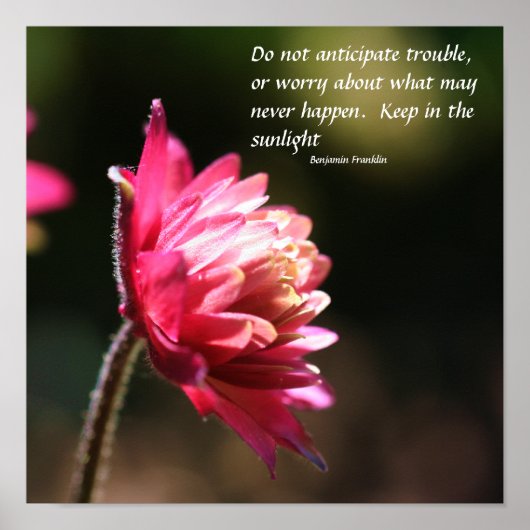 Bloem in Sun Inner Peace Quote Inspirerend Poster (Voorkant)