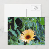 Bloem in Twee Bladeren Briefkaart (Voorkant / Achterkant)