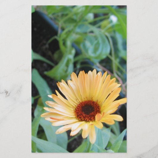 Bloem in Twee Bladeren Briefpapier (Voorkant)