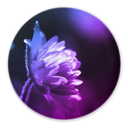 Bloem in zonlicht zwart-wit kleurentint keramische knop (Voorkant)