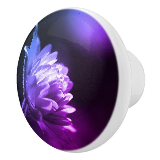 Bloem in zonlicht zwart-wit kleurentint keramische knop (Rechts)