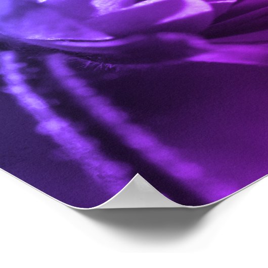 Bloem in zonlicht zwart-wit kleurentint poster (Hoek)