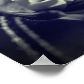 Bloem in zonlicht zwart-wit poster (Hoek)