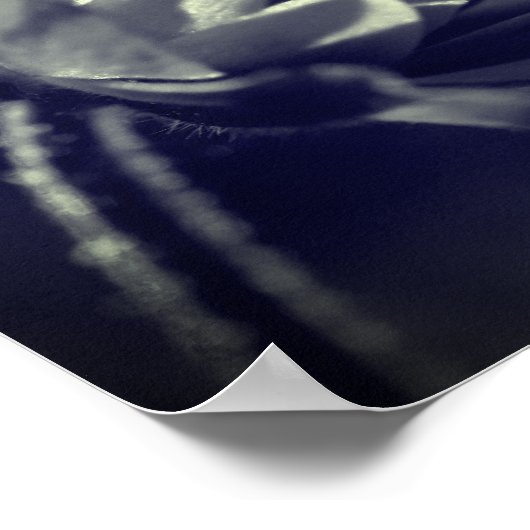 Bloem in zonlicht zwart-wit poster (Hoek)