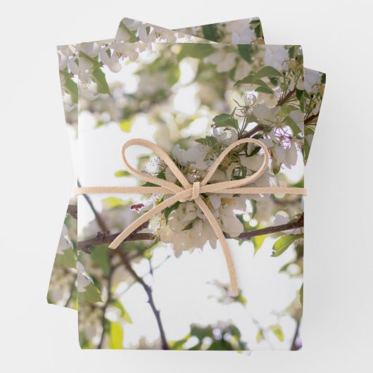 bloem inpakpapier vel (In situ)