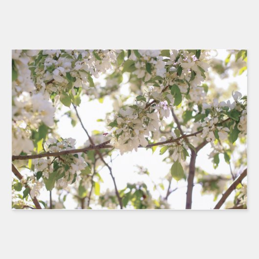 bloem inpakpapier vel (Voorkant 3)