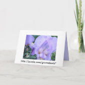 Bloem - Iris Kaart (Achterkant)