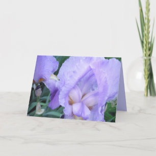 Bloem - Iris Kaart